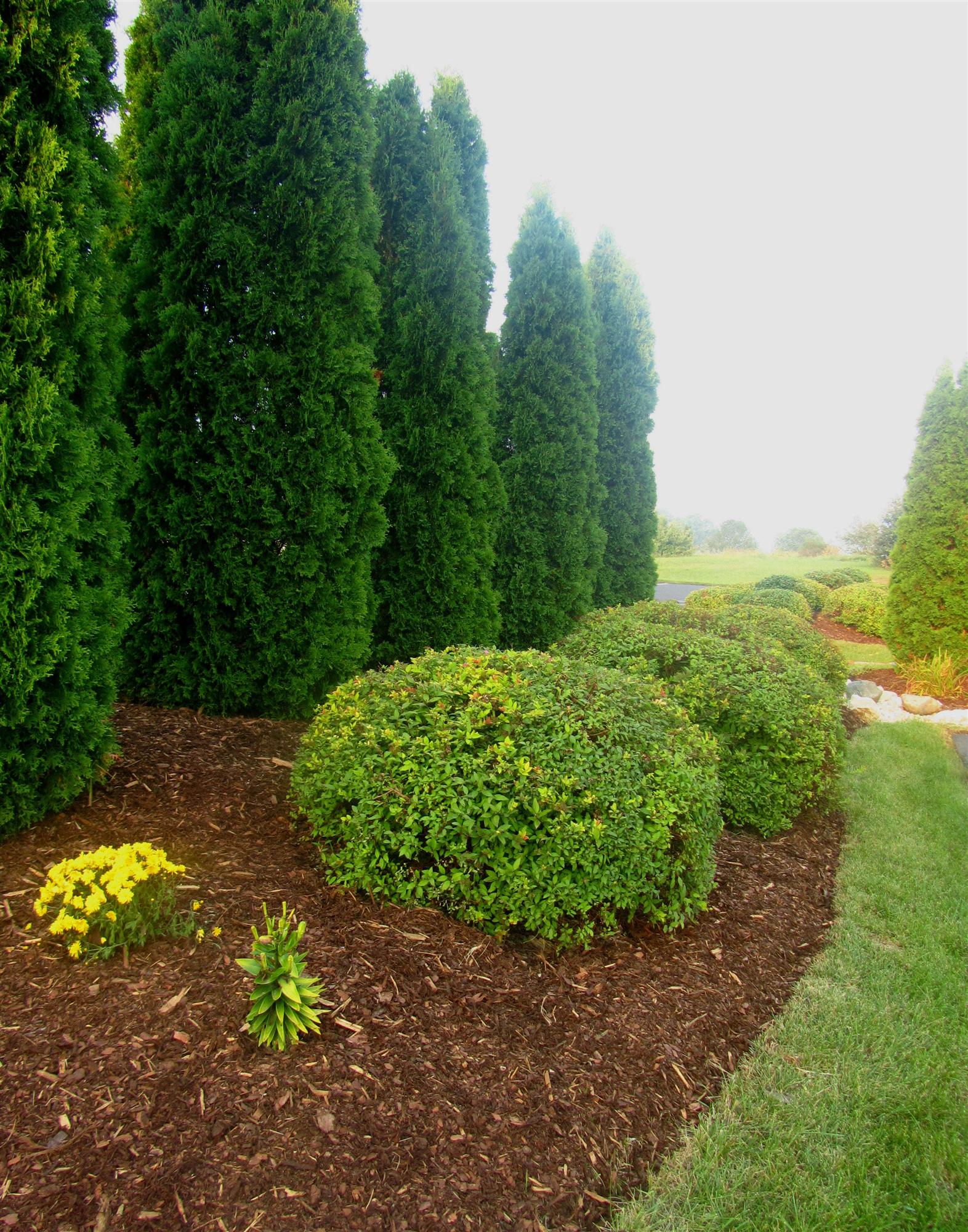 Residential landscape maintenance in Wisconsin